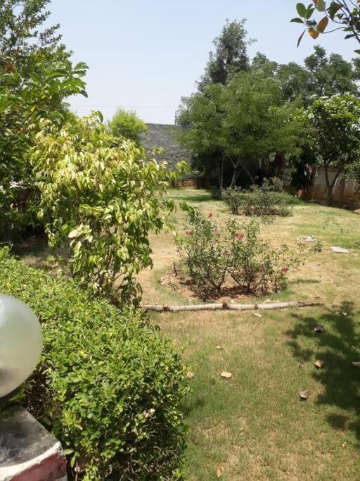 古尔冈Achal Farm जंगल में मंगल别墅 外观 照片