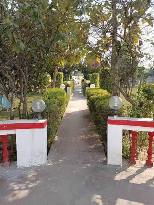 古尔冈Achal Farm जंगल में मंगल别墅 外观 照片