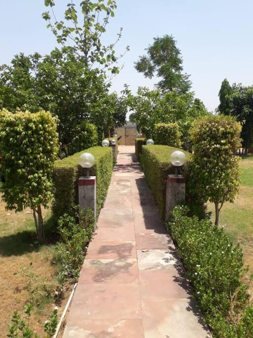 古尔冈Achal Farm जंगल में मंगल别墅 外观 照片