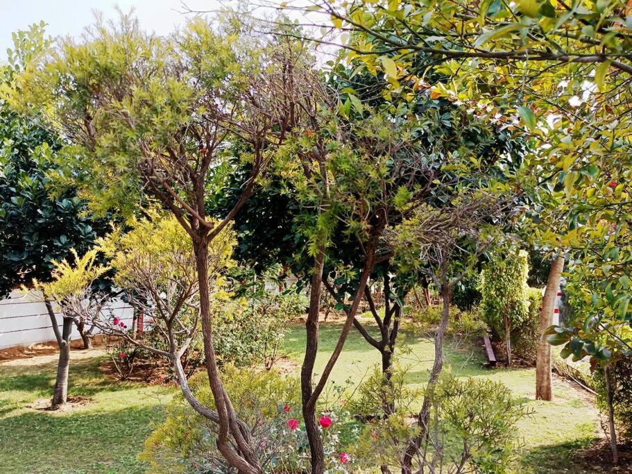 古尔冈Achal Farm जंगल में मंगल别墅 外观 照片
